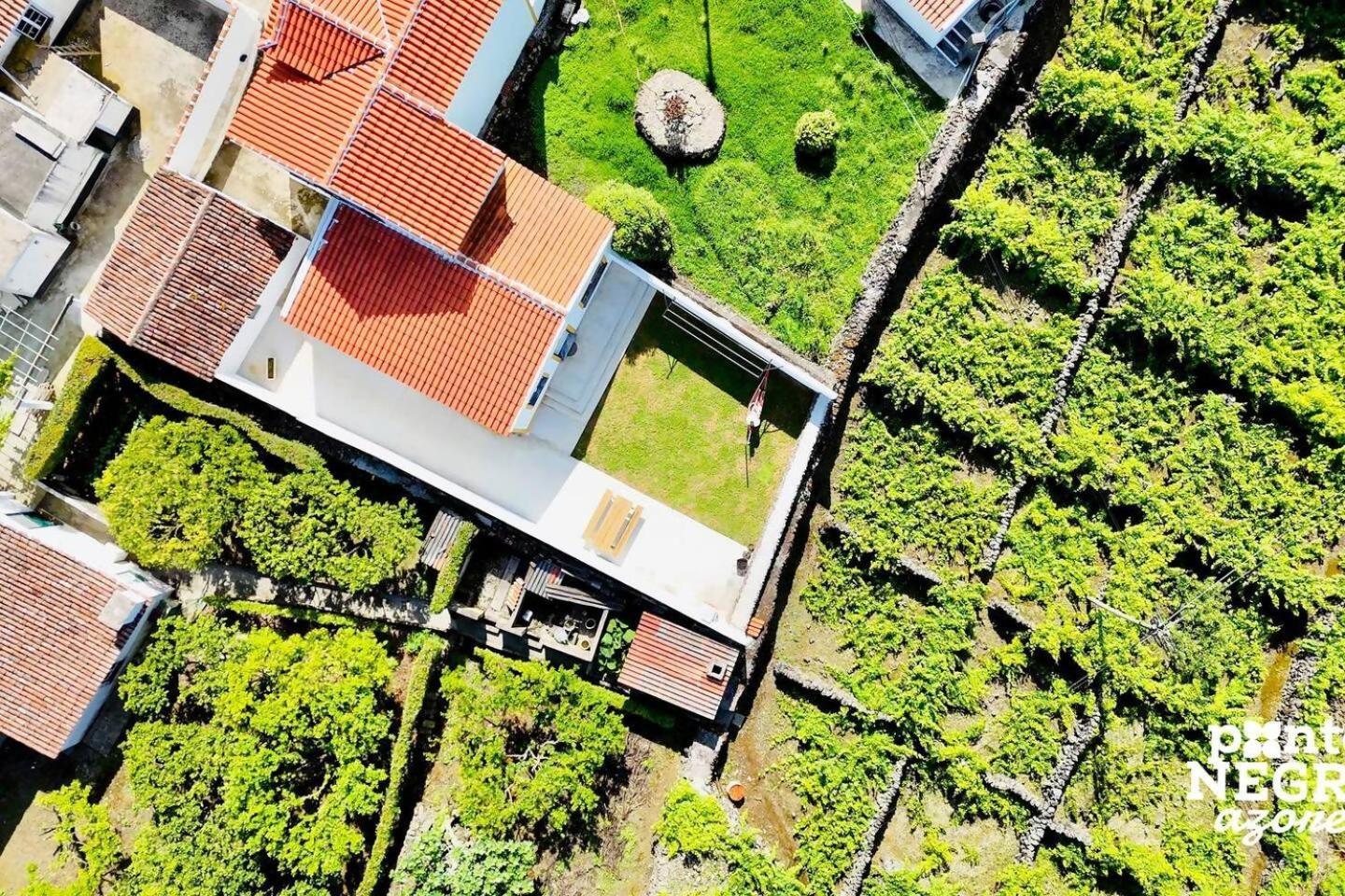 The Biscuit House By Pontanegraazores Praia da Vitória Екстериор снимка